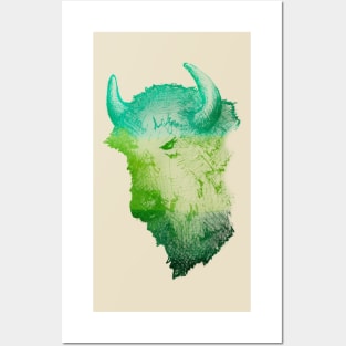 Banff Bison Posters and Art